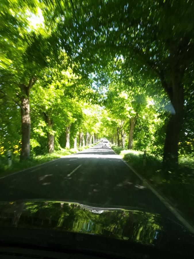 Ich Kenne Ein Haus Am Meer Neuendorf  ภายนอก รูปภาพ